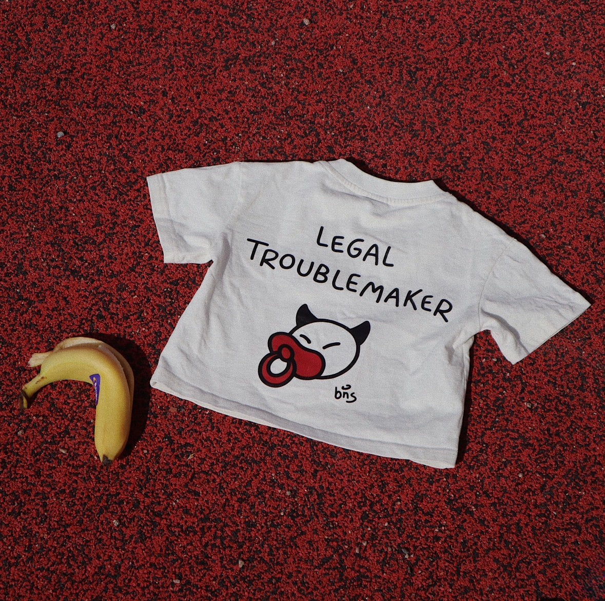 LEGAL TROUBLEMAKER