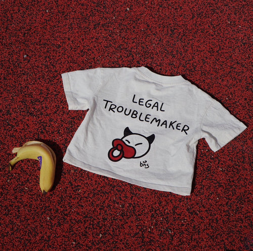 LEGAL TROUBLEMAKER